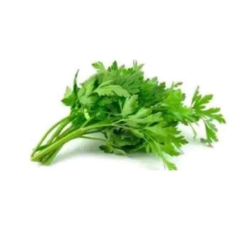 

Aman Terbaik Daun Bawang/Daun Seledri/Daun Bawang Seledri