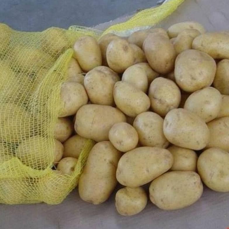 

Fungsi Kentang Dieng Ukuran Sedang 1Kg Murah Dan Berkualitas