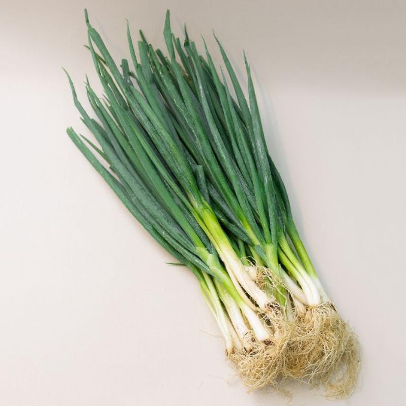 

Waktu Terbatas Daun Bawang Fresh (250Gr)