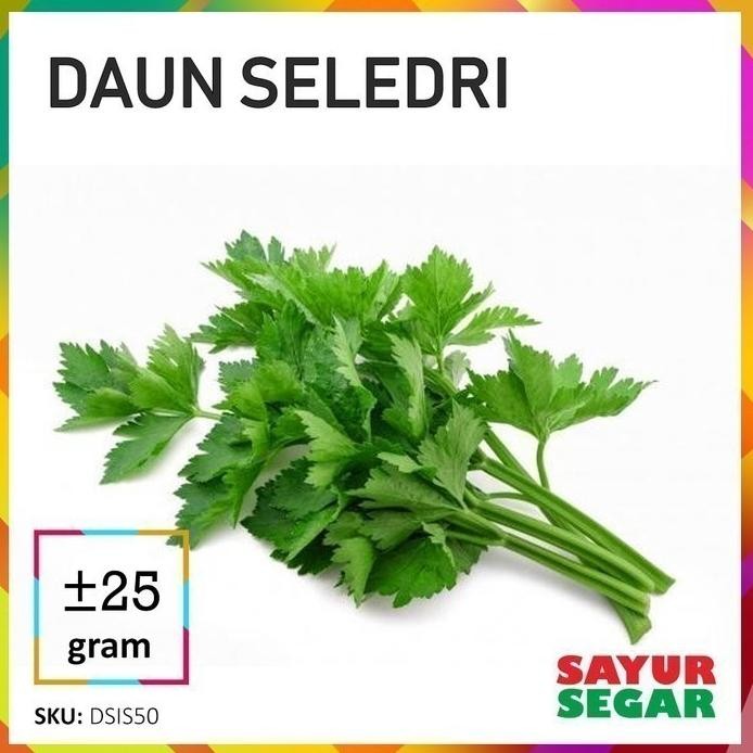 

Bahan Terbaik Daun Seledri Sayur [25G]