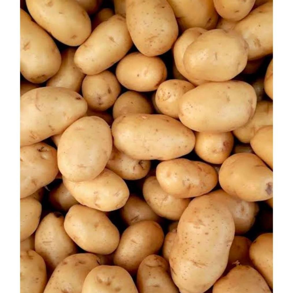 

Praktis Kentang Biasa Murah 500Gr