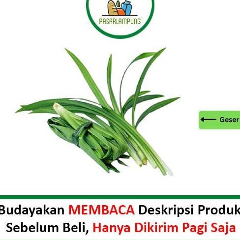 

Special Daun Pandan Segar Per Ikat Pasar Lampung