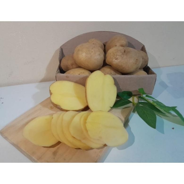 

Berkualitas Kentang Super Segar [ Ukuran Sedang 500 Gr ]