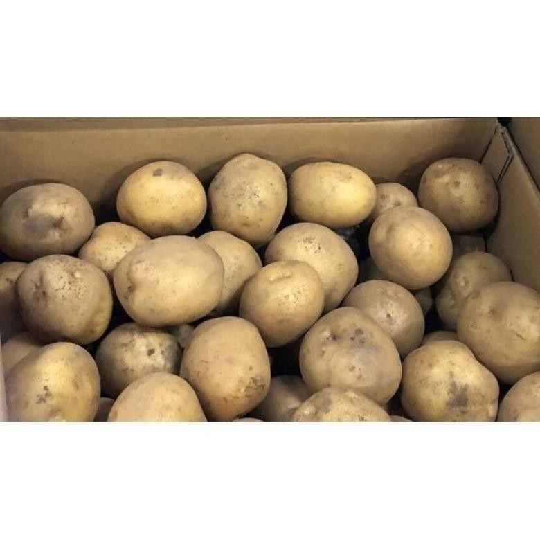 

Berkualitas Kentang Super Segar [ Ukuran Sedang 500 Grm ]