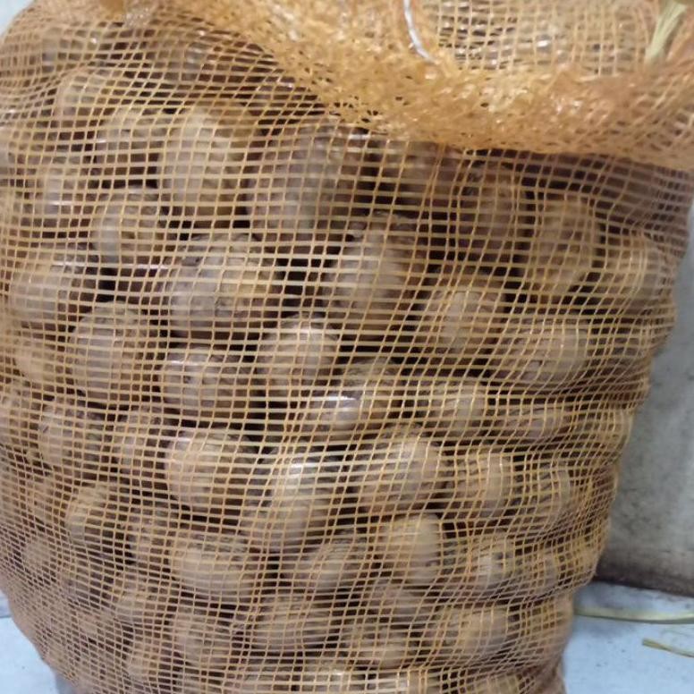 

Diskon Kentang Segar Jatim 500Gr