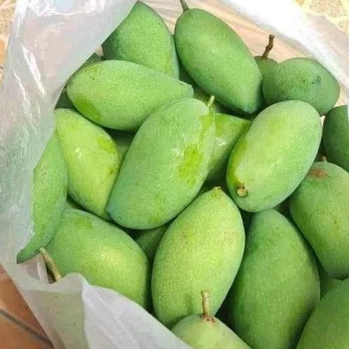 

Tangguh Mangga Muda 1 Kg