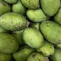 

Kualitas Tertinggi Mangga Madu Lokal