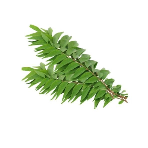 

Inovatif Fcw - Daun Kari Segar 1 Ikat