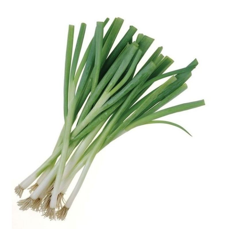 

Solusi Daun Bawang Prei 200 Gram - Surabaya