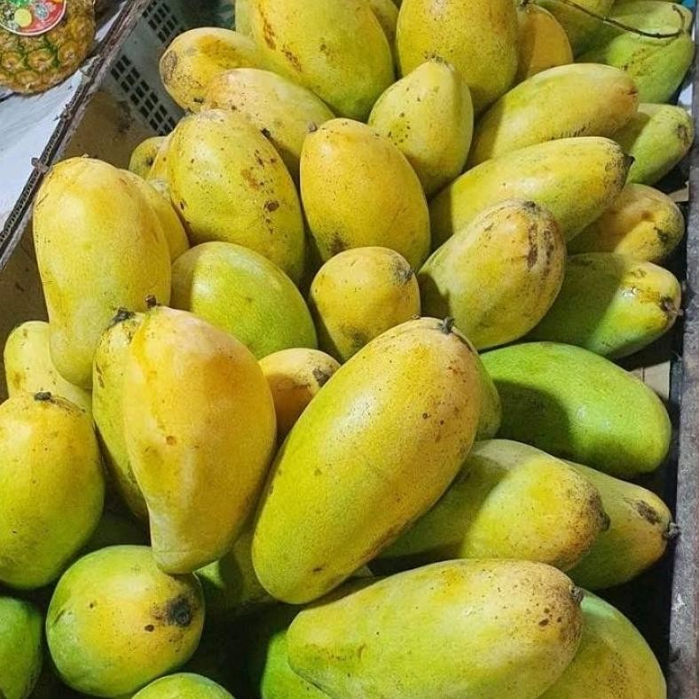 

Tahan Lama Mangga Golek Super Manis 1 Kg