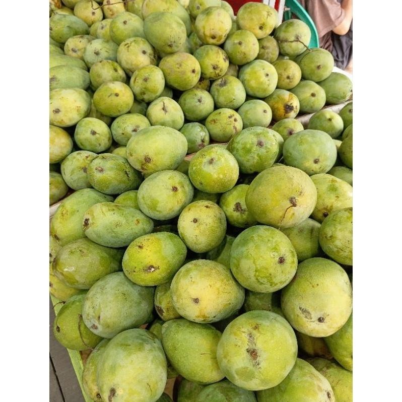 

Momen Spesial Mangga Harum Manis 1Kg 4/5 Manis Dan Harum