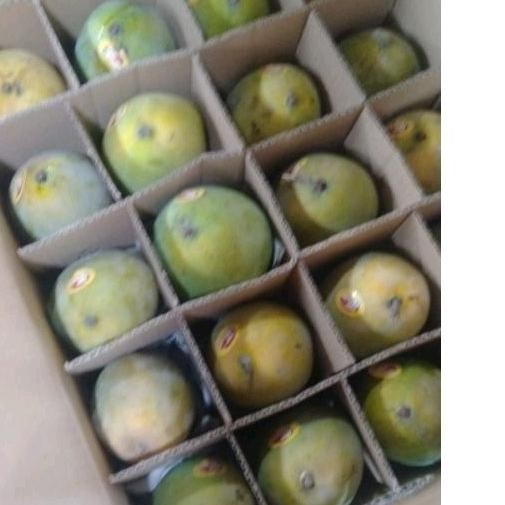 

Kenyamanan Mangga Harum Manis