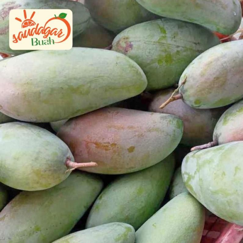 

Tersedia Sekarang Buah Mangga Thailand / Mangga Kiojay Mengkel Garing 1Kg
