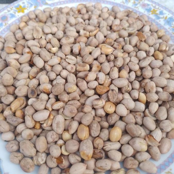 

Promo / Terlaris Kacang Bogares 1kg khas Tegal Terbaik