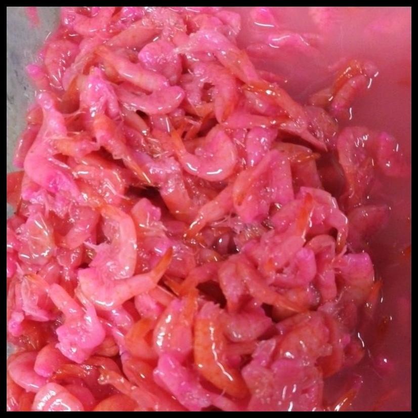 

HAKOI UDANG 100GRAM/HAKOI UDANG TANPA KEPALA