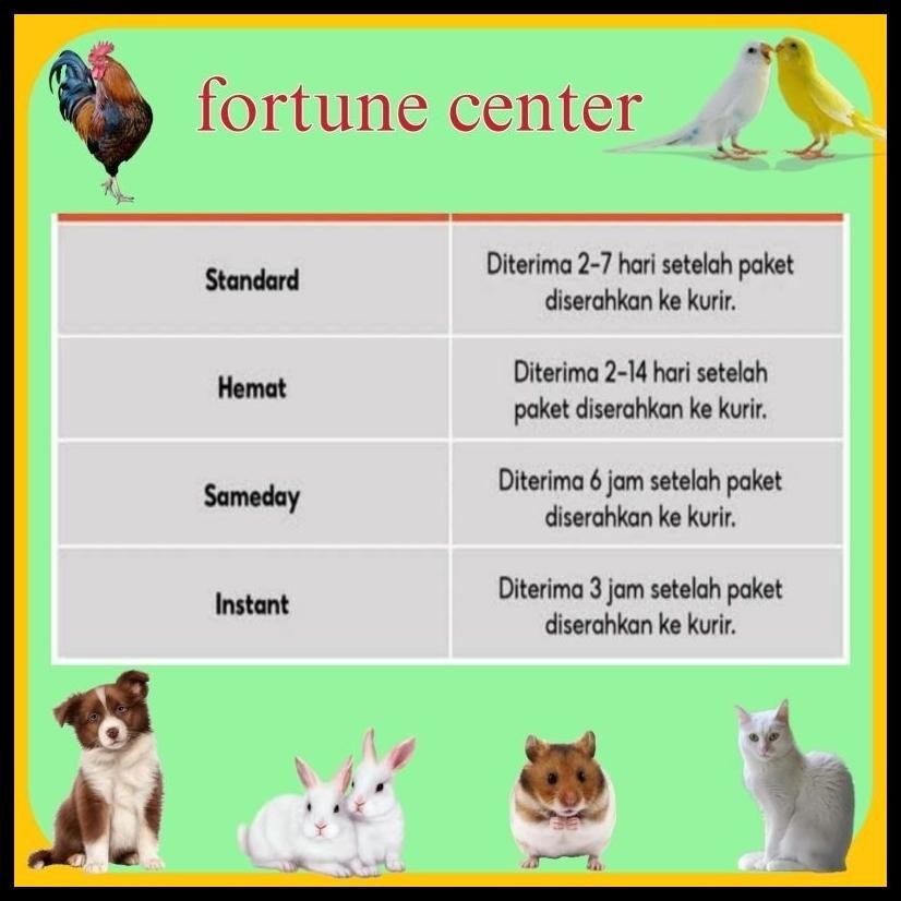 INJEKVIT B12 PLUS ALAT SUNTIK UK 3CC ATAU 100 ML VITAMIN AYAM KUCING SAPI SEMUA HEWAN BY MEDION