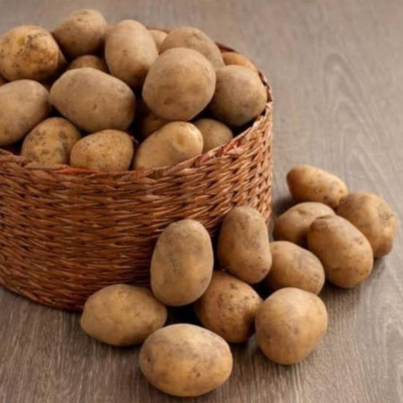 

Bisa Disesuaikan Kentang Dieng Ukuran Sedang Murah 1Kg Super