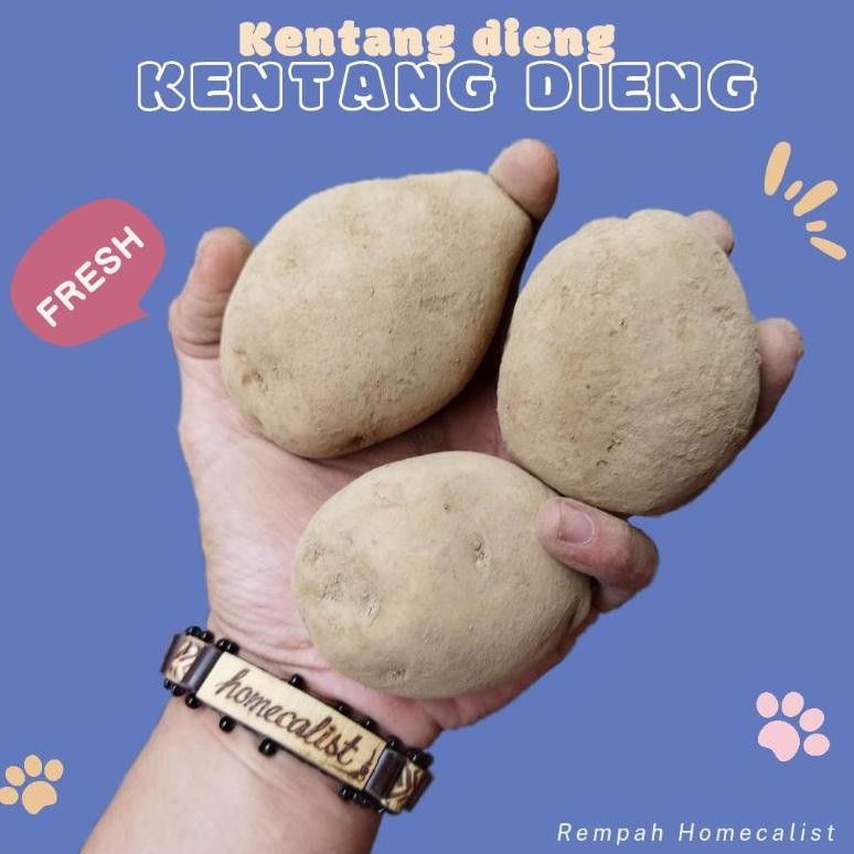 

Desain Elegan Kentang Segar 1Kg Kentang Dieng