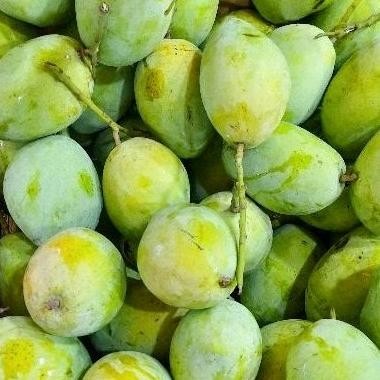 

Inovasi Mangga Indramayu Segar Manis 500 Gr/1 Kg