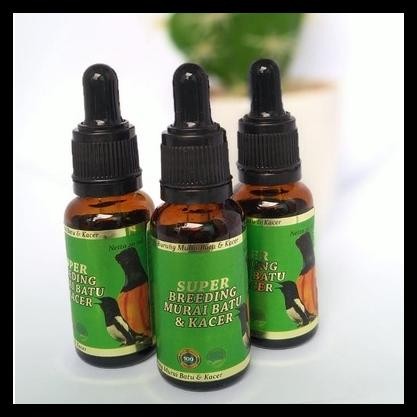 SUPER BREEDING MURAI KACER NUTRISI TERNAK BURUNG DONGKRAK BIRAHI PENJODOHAN