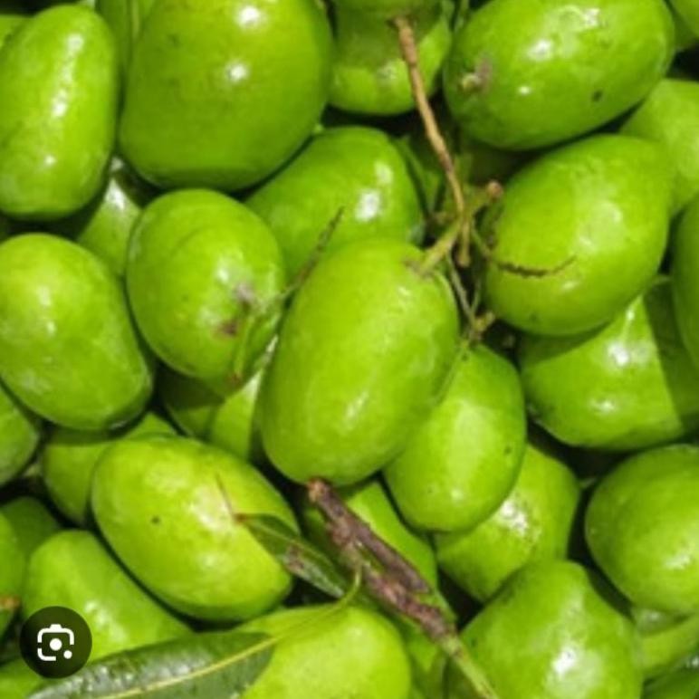 

New Mangga Muda Segarr Sangat Cocok Untuk Rujak Isi 1Kg