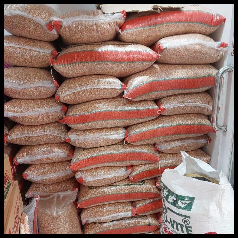 JAGUNG KRISTAL MERPATI 25KG JAGUNG BURUNG DARA .