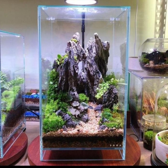 Terlaris Aquarium Kaca Soliter Nano Tank Aquarium Panggung