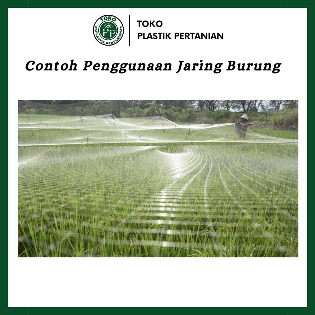 Jaring Burung 0.12 100Md 100 Yard - Jaring Pelindung Padi Spaylater 0%|Terlaris|Trend|Baru|Ready|Rea