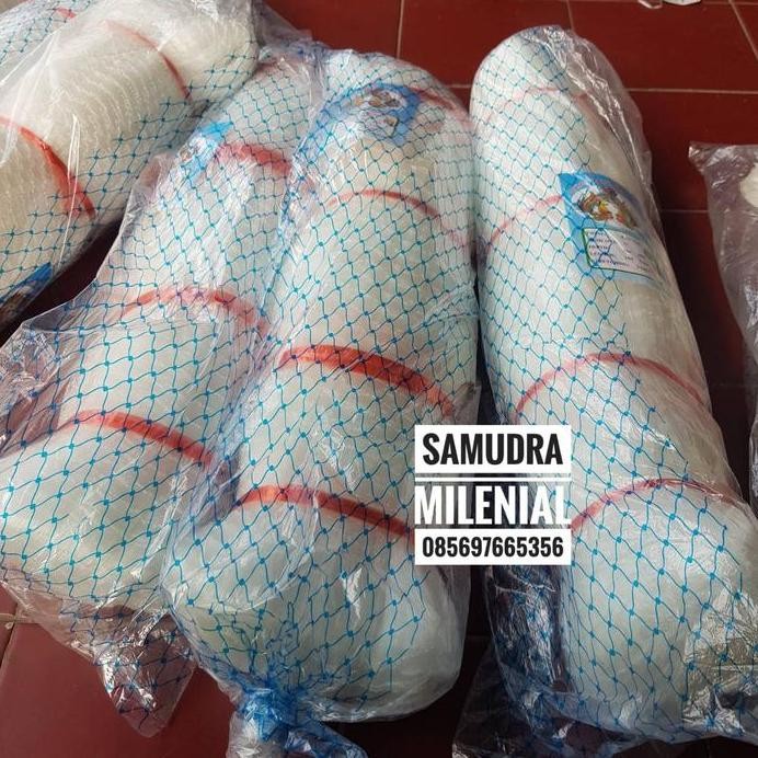 

Terlaris Jaring Ikan 025 1 Inch 100X100 Yoko Cap Phoenix Bagus