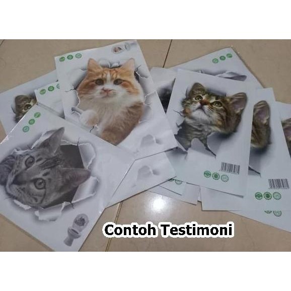 Stiker mobil motor gambar kucing 3D bahan decal lentur aksesoris lucu murah