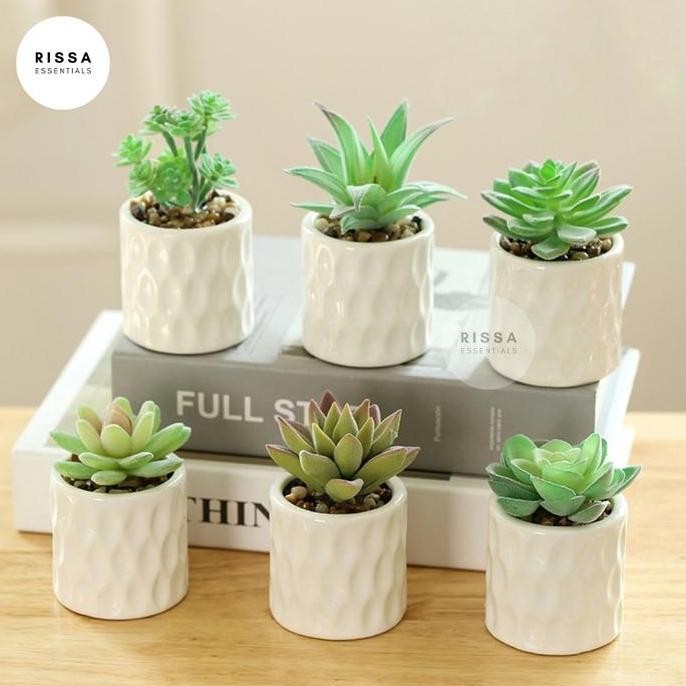 

[RISSA] Mini Kaktus Sintetis Cactus Palsu Kecil Tanaman Pot Palsu Dekorasi Tanaman Bunga Sintetis Prop Foto Layout Foto Studio Properti Foto Rissa Essentials