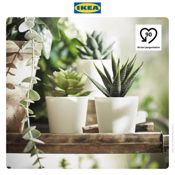 

IKEA FEJKA Tanaman Hias Palsu Sukulen dengan Pot 6cm Isi 3pcs