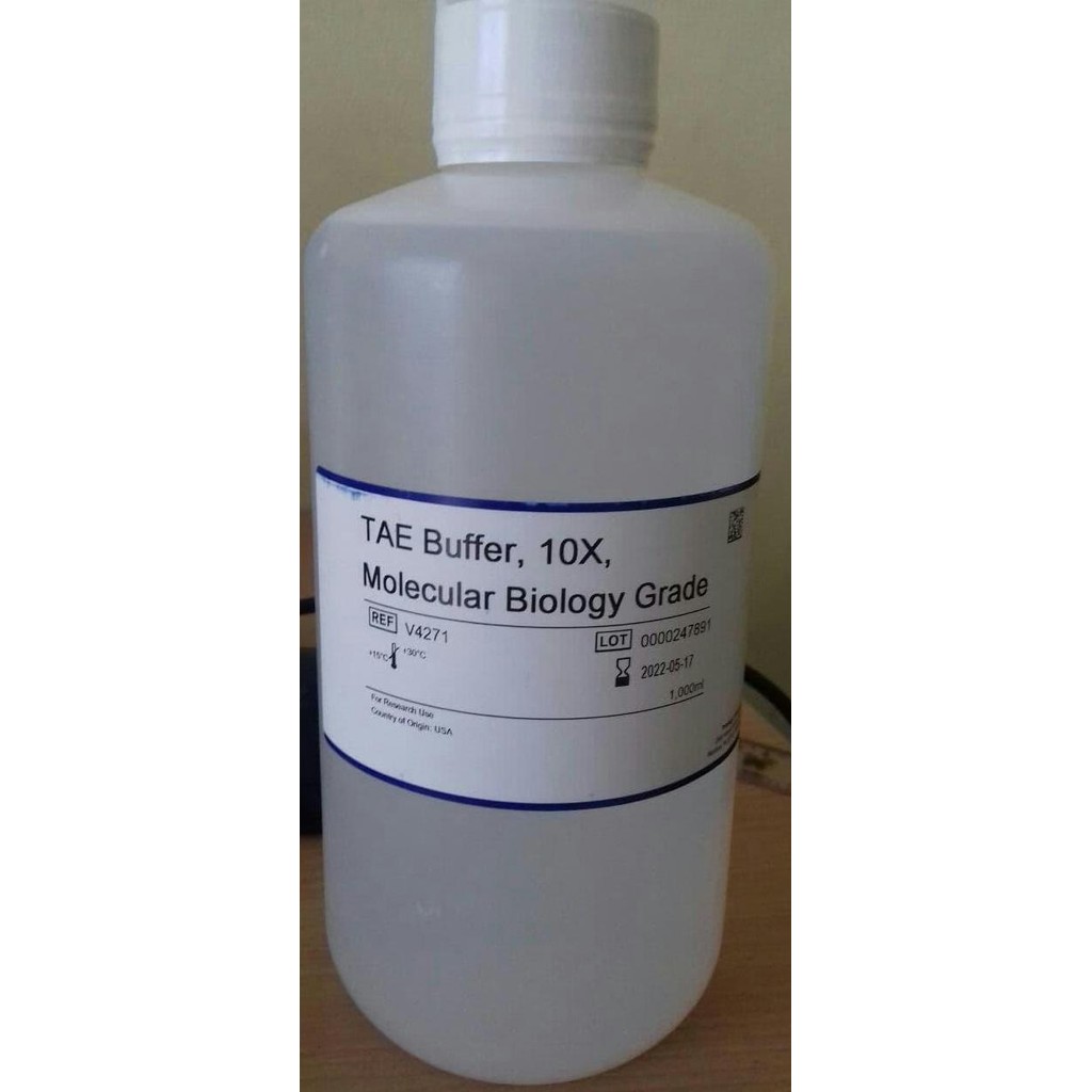 TERLARIS - TAE Buffer 10X, 1000ml