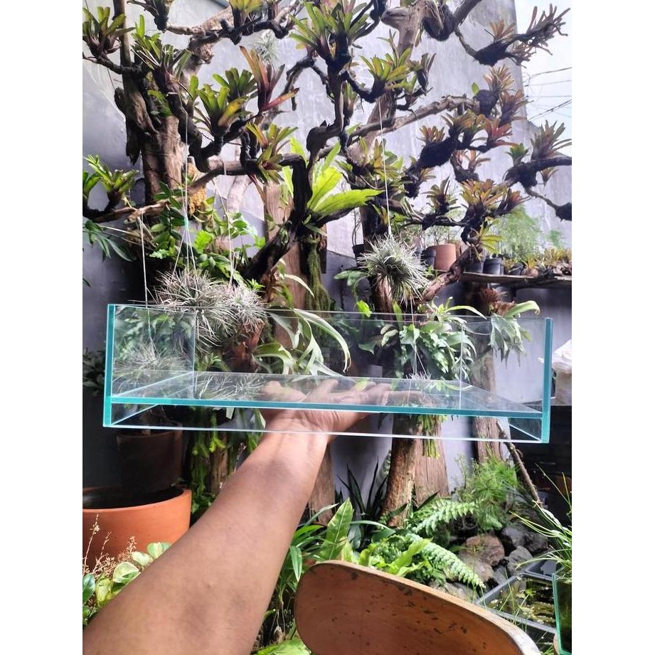 A100 Shallow Glass 300 Terrarium Vivarium Paludarium Tank Aquarium