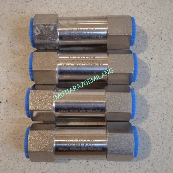 CHECK VALVE STAINLESS CHECK VALVE HYDRAULIC CHECK VALVE STAINLESS HYDRAULIC CHECK VALVE HIDROLIK STA