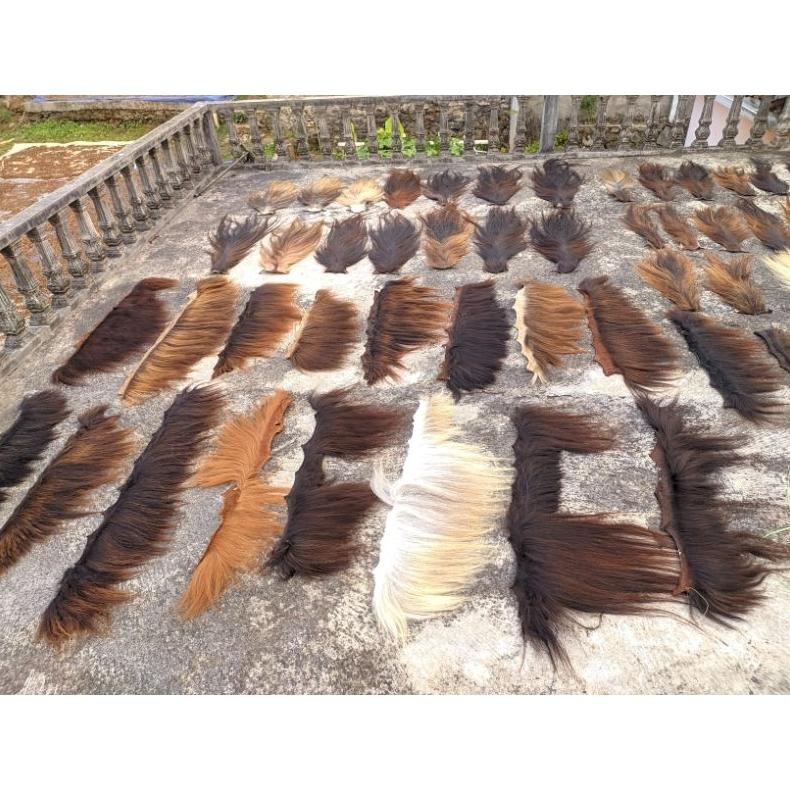 hg-24 To94 Hot Sale Ekor/Suri kuda asli Termurah Berkualitas Premium