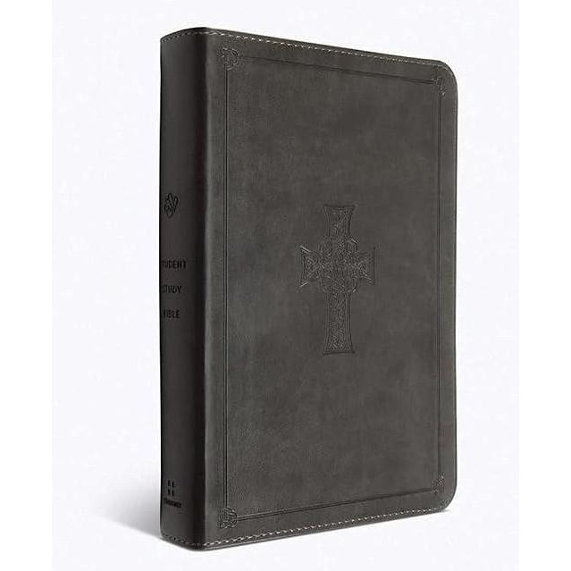 new ESV Student Study Bible, Artist Series, Hardcover