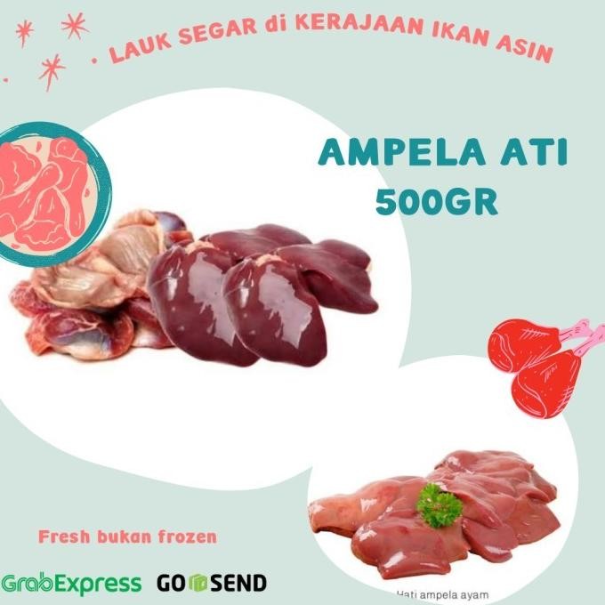 

(Expert) AMPELA ATI AYAM FRESH 500GR
