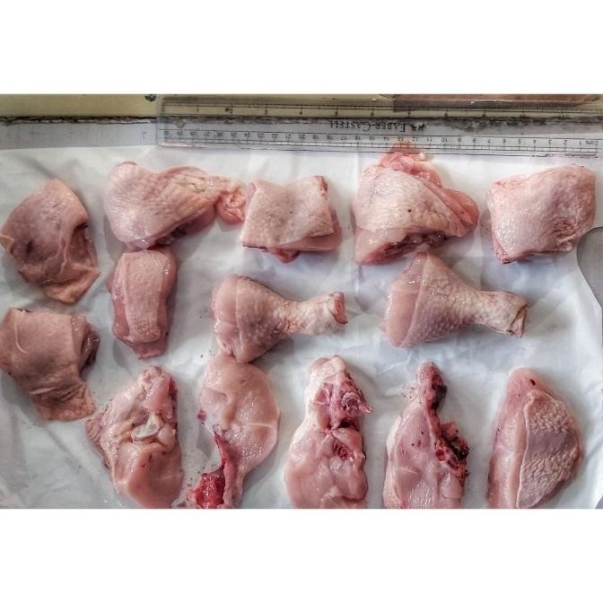 

(Expert) Ayam Karkas / Ayam Potong / Ayam Broiler Ukuran 1.300 gr