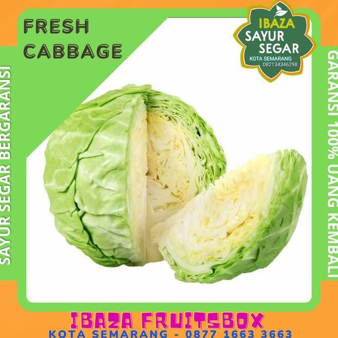 

Sayur Kol / Sayur Kobis / Sayur Kol Putih Sayur Segar IBAZA fruitsBOX