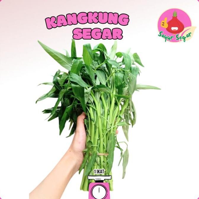 

Sayur Segar - Kangkung Segar / Water Spinach 1 Ikat