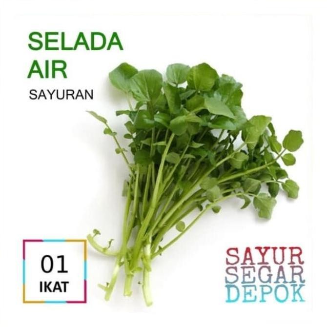 

DAUN SELADA AIR SAYUR / SAYUR SEGAR DEPOK