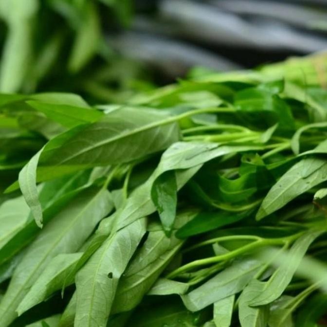 

Sayur Kangkung Segar 1 iket