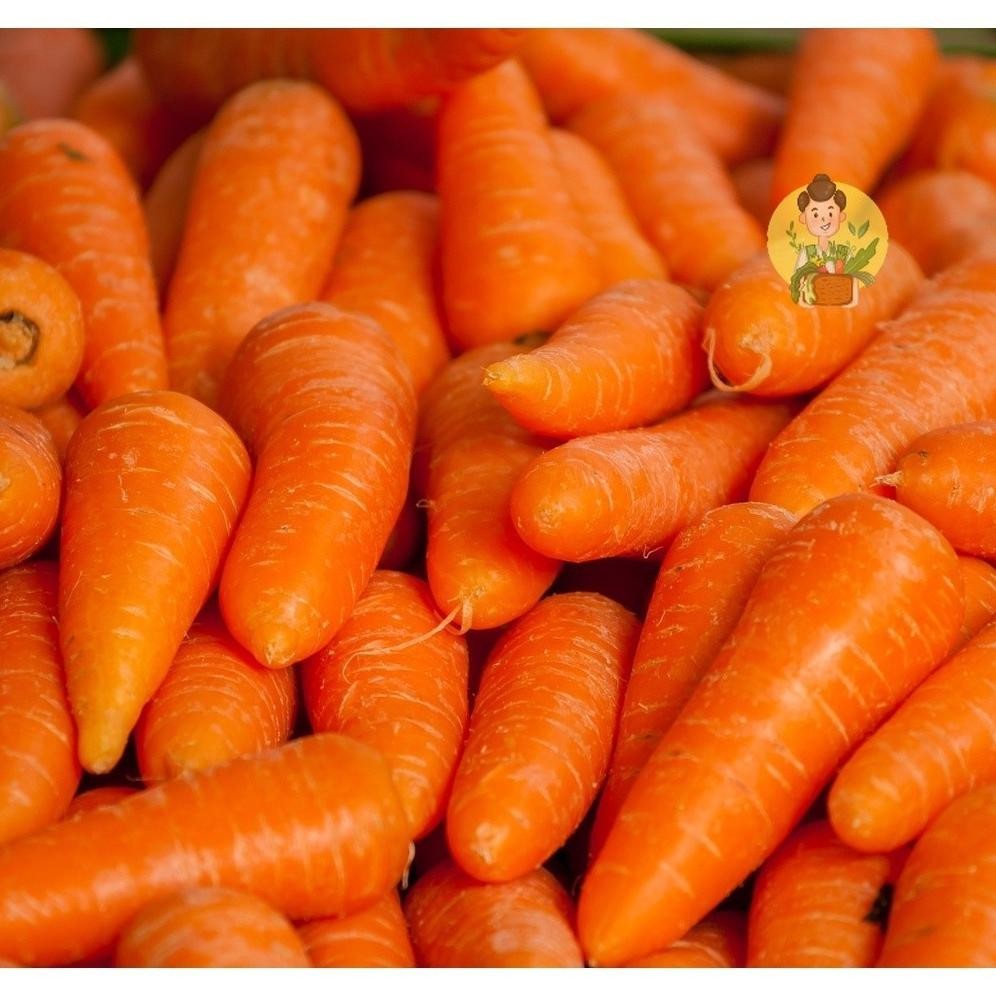 

Wortel Brastagi, Wortel manis 250 gram