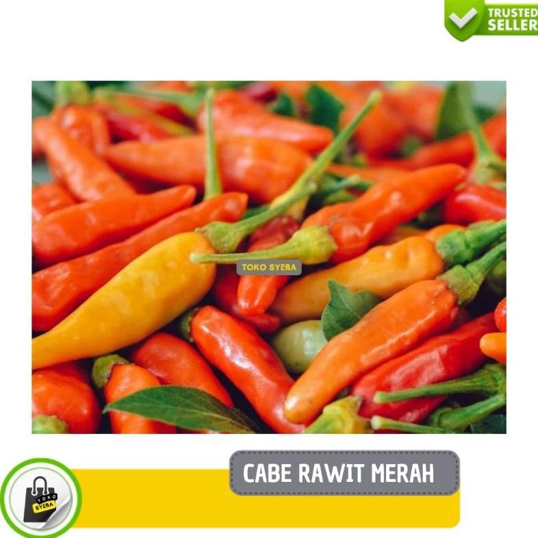 

Cabe Rawit Merah Segar - Jabodetabek