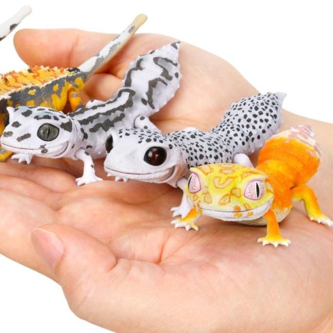 Ikimono Repti Leopard Gecko Gashapon Gacha Bandai Dango Mushi