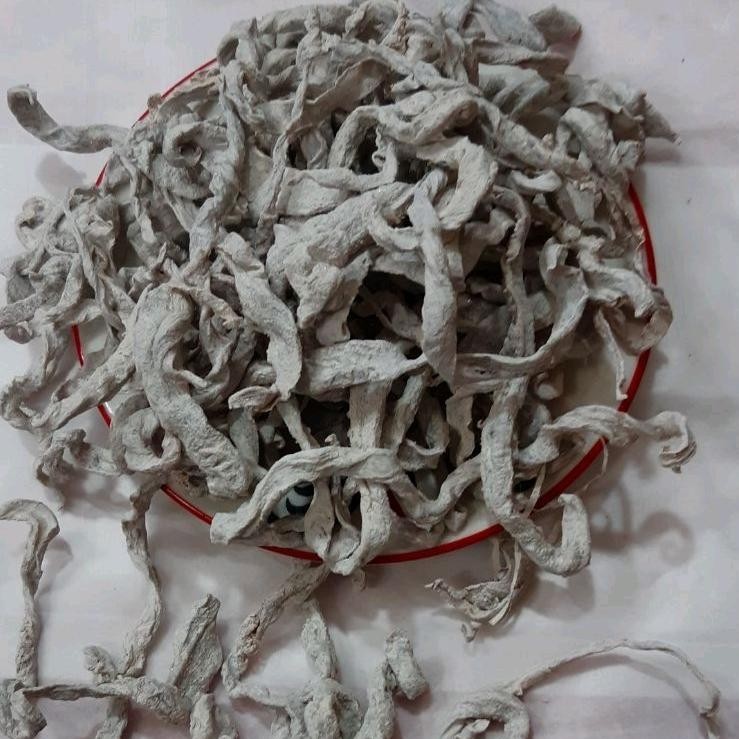 

Manisan Mangga Putih Kering 250Gram