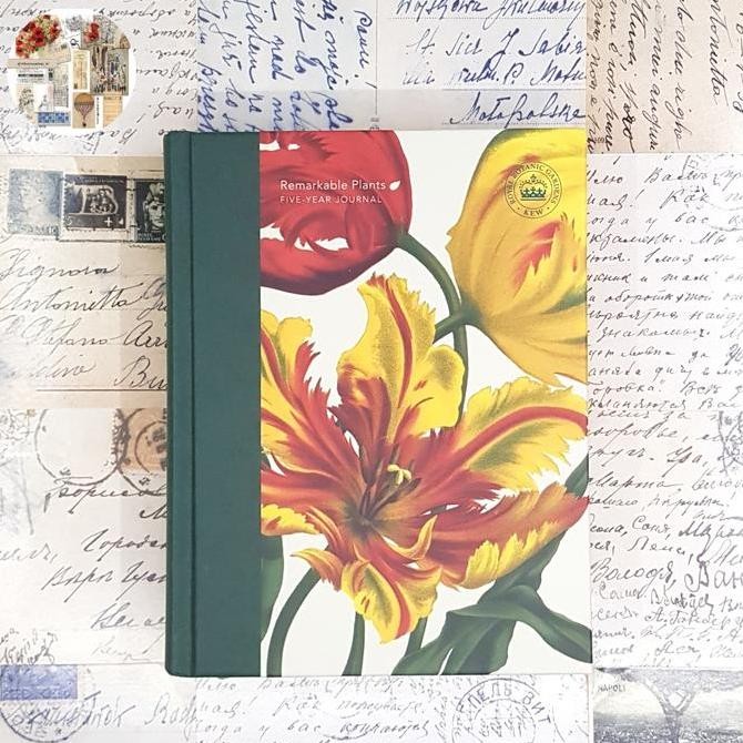 

Five Year Journal Beautifully Illustrated. Five 5 Years Journal / Diary. Agenda 5 Tahun Co