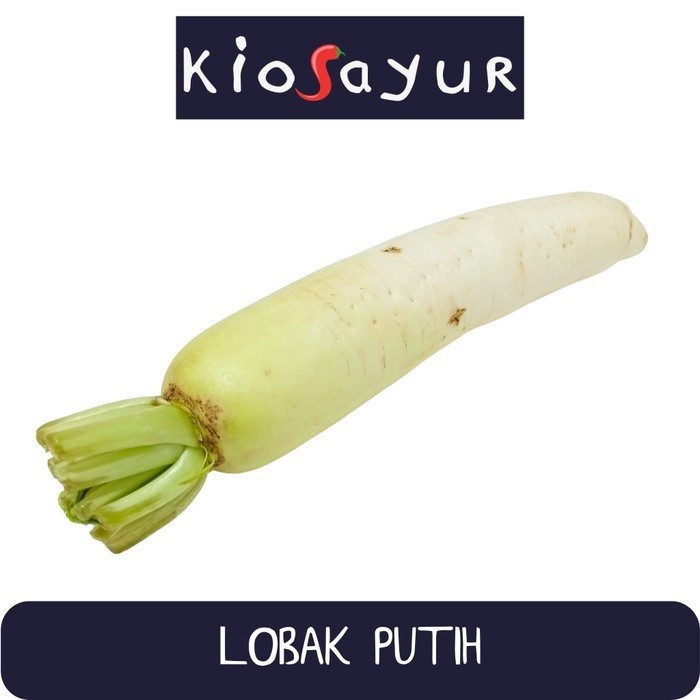 

Lobak Putih / White Raddish Kiosayur
