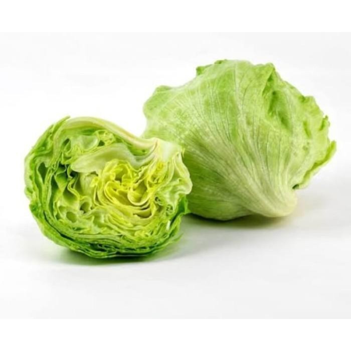 

Lettuce Head / Iceberg Kiosayur